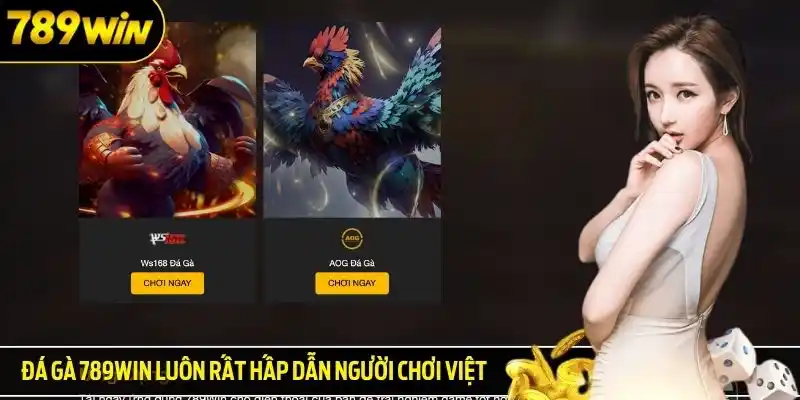 Đá gà 789win luôn rất hấp dẫn người chơi Việt